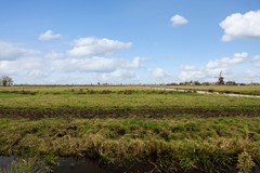 Graaf Willem II Laan 35-28.jpg